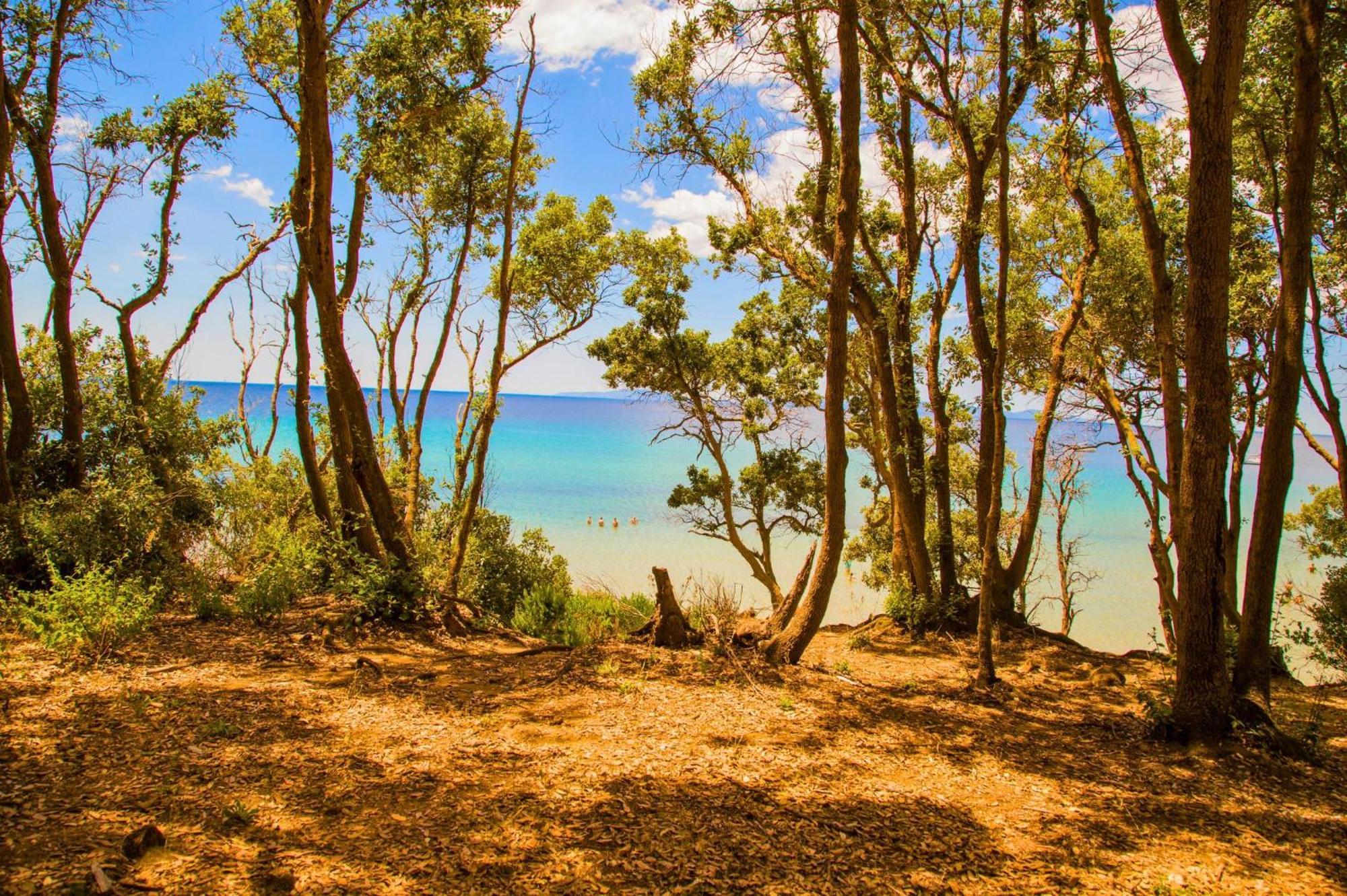 Oasimaremma Village Скарлино Екстериор снимка